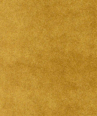 Theo 182248 Jupiter
