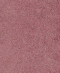 Theo 182273 Orchid