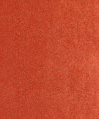 Theo 182278 Razzel