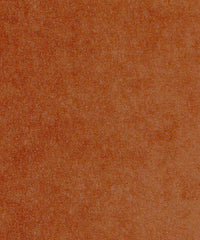 Theo 182279 El Pez