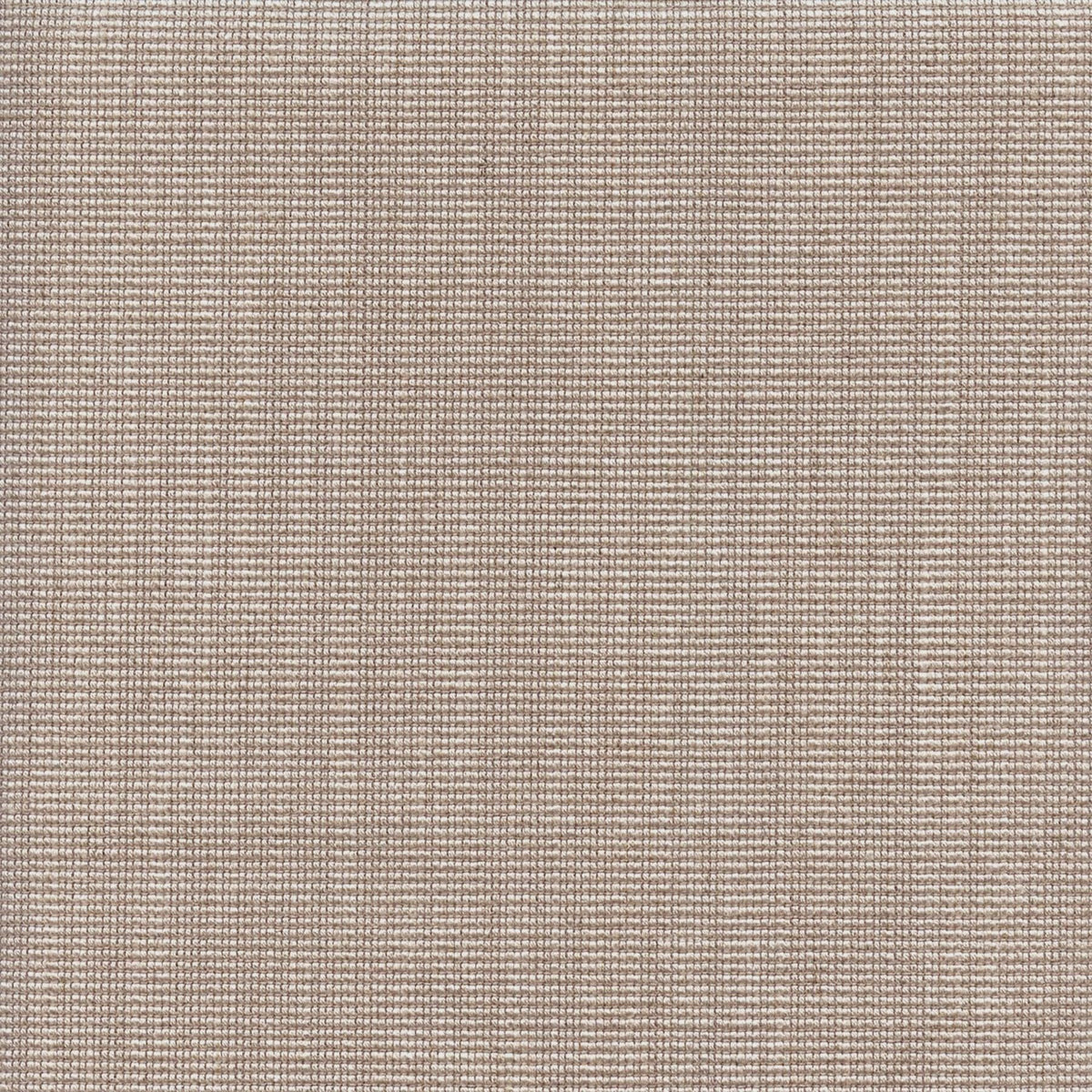 RIBBED 196956 Selan