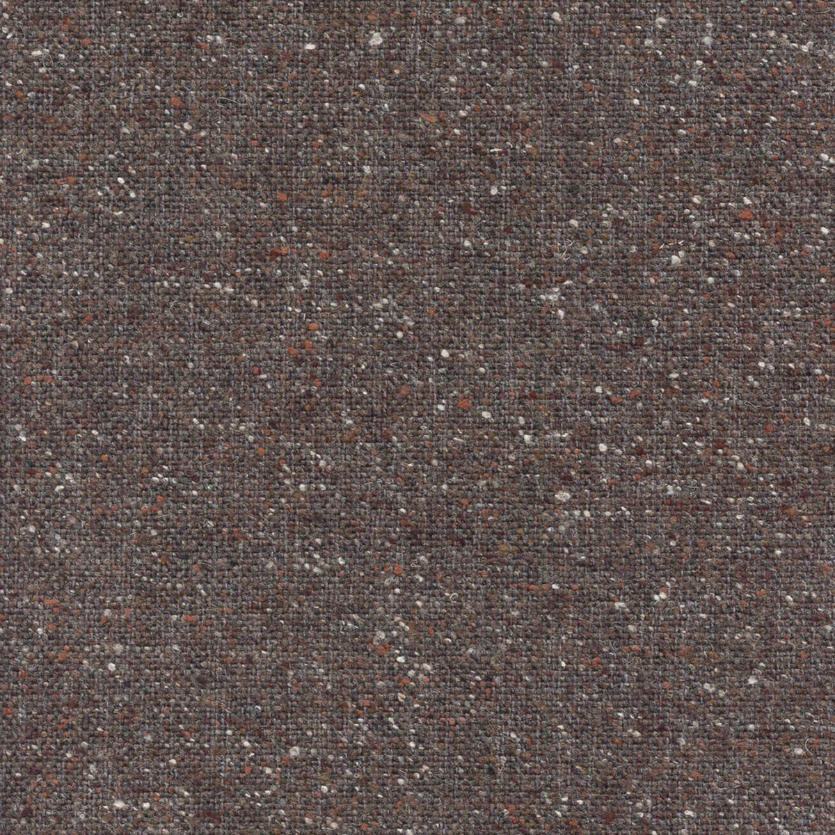 SALTED 197073 Albaro