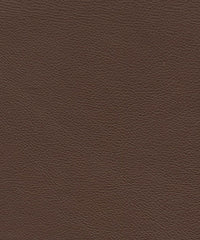 Tobias Cl249 Chocolate