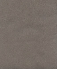Varsity 219702 Roca