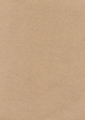 Varsity 219713 Damia