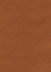 Varsity 219716 Acacia