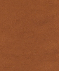 Varsity 219716 Acacia