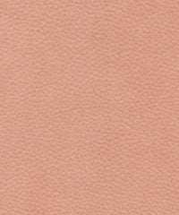 Zakari 206462 Soft Salmon