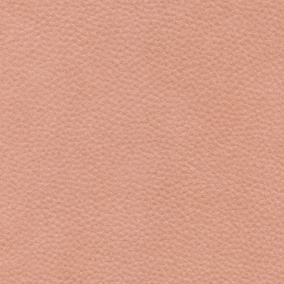 Zakari 206462 Soft Salmon