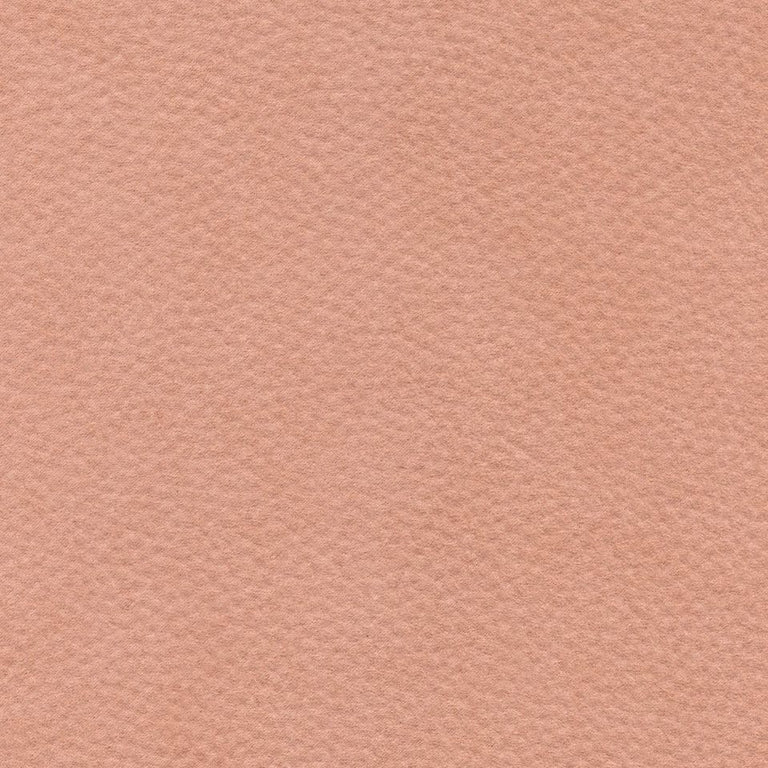 Zakari 206462 Soft Salmon