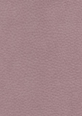 Zakari 206463 Blossom