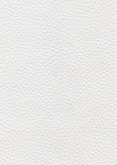 Zakari 206467 Smoothe White