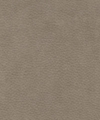 Zakari 206469 Sawdust