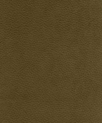 Zakari 206474 Camo Green