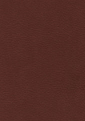 Zakari 206476 rusted