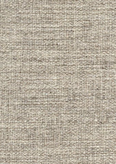 Zariah 147262 Pashmina