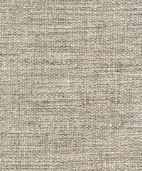 Zariah 147262 Pashmina