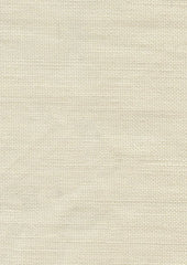 Zaza 300502 Blemish