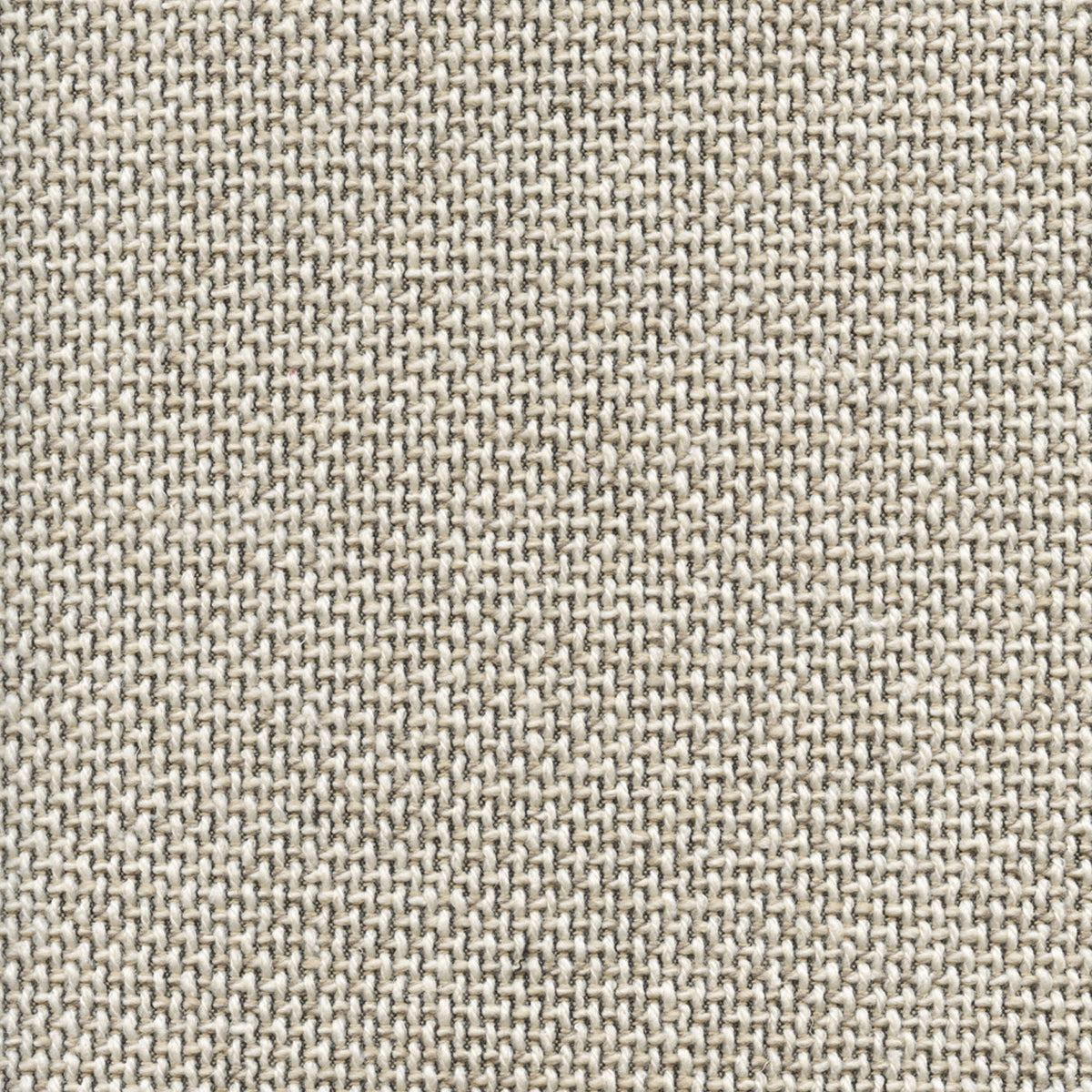 Zeal 193700 Scribe