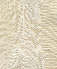 Aztec Lx5104 Ivory Peral