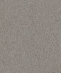 Cadence H017 Elephant Grey