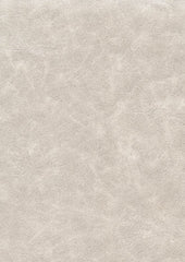 Cadence H021 Chalk Dust