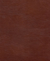 Cadence H105 Chili Spice