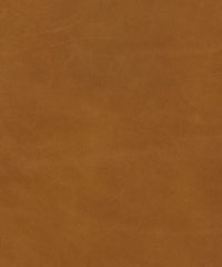 Gemma Lx5093 Coppersmith