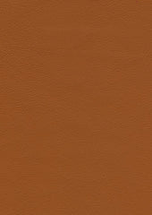Genesis Cl322 Brick