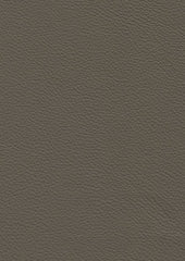 Genesis Cl330 Olive