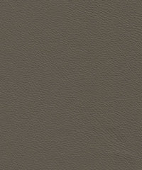 Genesis Cl330 Olive