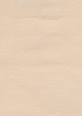 Genesis Cl342 Eggshell