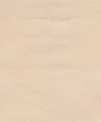 Genesis Cl342 Eggshell