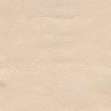 Genesis Cl342 Eggshell