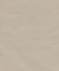 Genesis Cl343 Putty