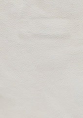 Genesis Cl345 White