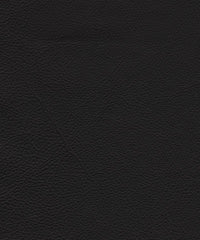 Genesis Cl346 Black