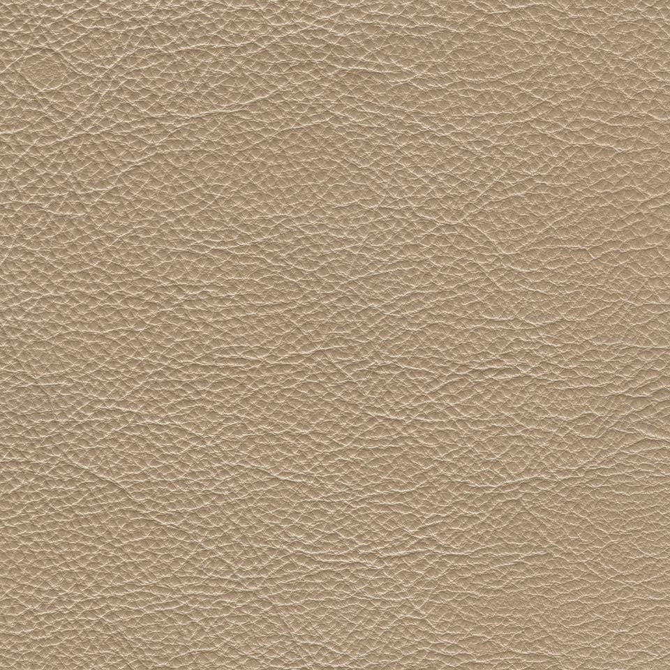 GlistenMetallicLeather(HalfHide) Cl600 Solar
