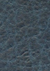 Jupiter 70206 Hail