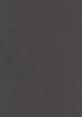 Leo 219401 Cape
