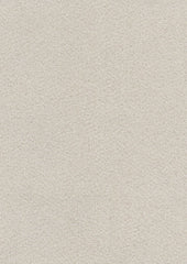 Leo 219407 Dune