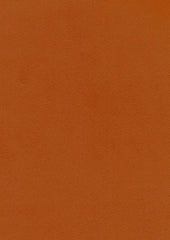 Leo 219418 Jaffa