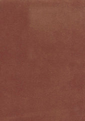 Leo 219430 Aloy