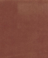 Leo 219430 Aloy