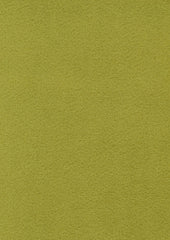 Leo 219442 Yoshi