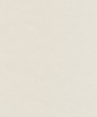 Manchester Wool 953320 Mousse