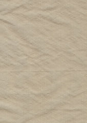 Nobu 041 Chamois