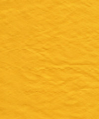 Nobu 062 Bright Gold