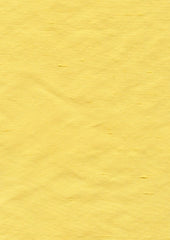 Nobu 083 Marigold