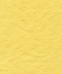 Nobu 083 Marigold